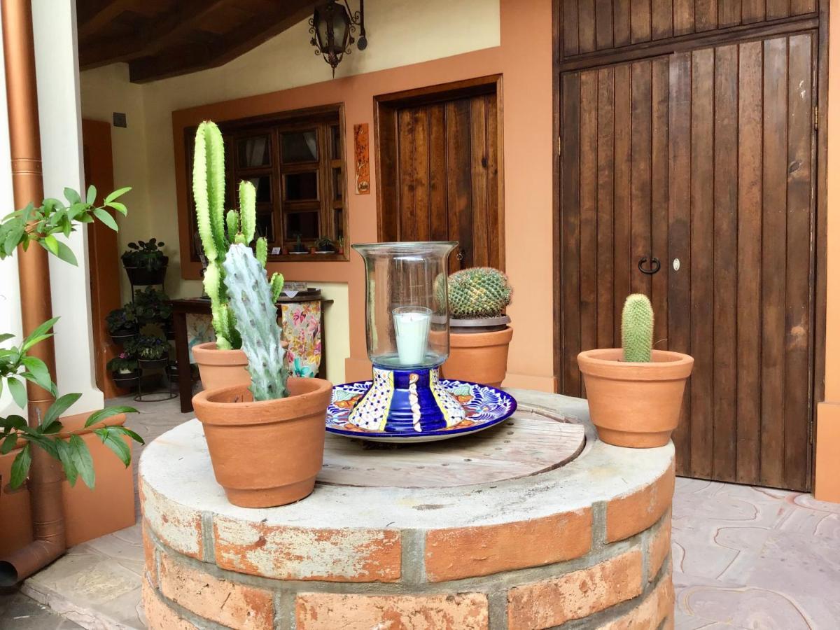 Casa Tia Anita, Hotel Boutique Mascota Exterior photo
